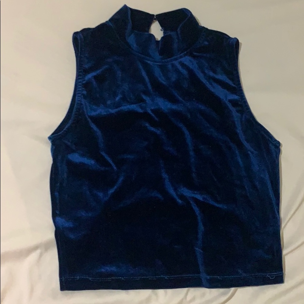 blue velvet cropped top